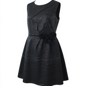 Plus Size David Meister Dress